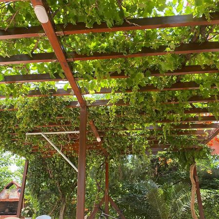 Plaisir Rooms Makriammos Ngoại thất bức ảnh